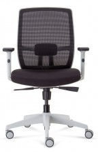 Luminous HB Exec. Arms. Synchro Mech. Seat Slide. Gas. White Frame. Black Mesh And Fabric Only